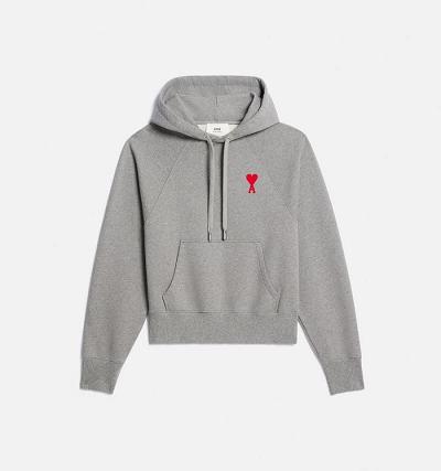 Ami Paris Ami de Coeur Men's Hoodies Grey | ami-NZ189