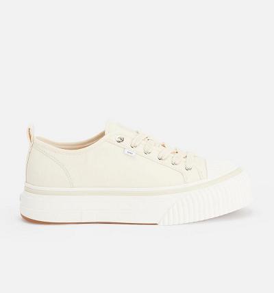 Ami Paris Low Top Ami 1980 Women's Sneakers Beige | ami-NZ436