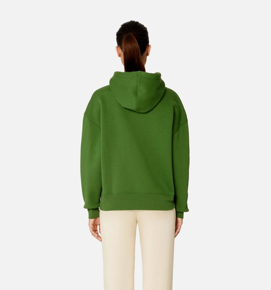 Ami Paris Ami de Coeur Women's Hoodies Green | ami-NZ170