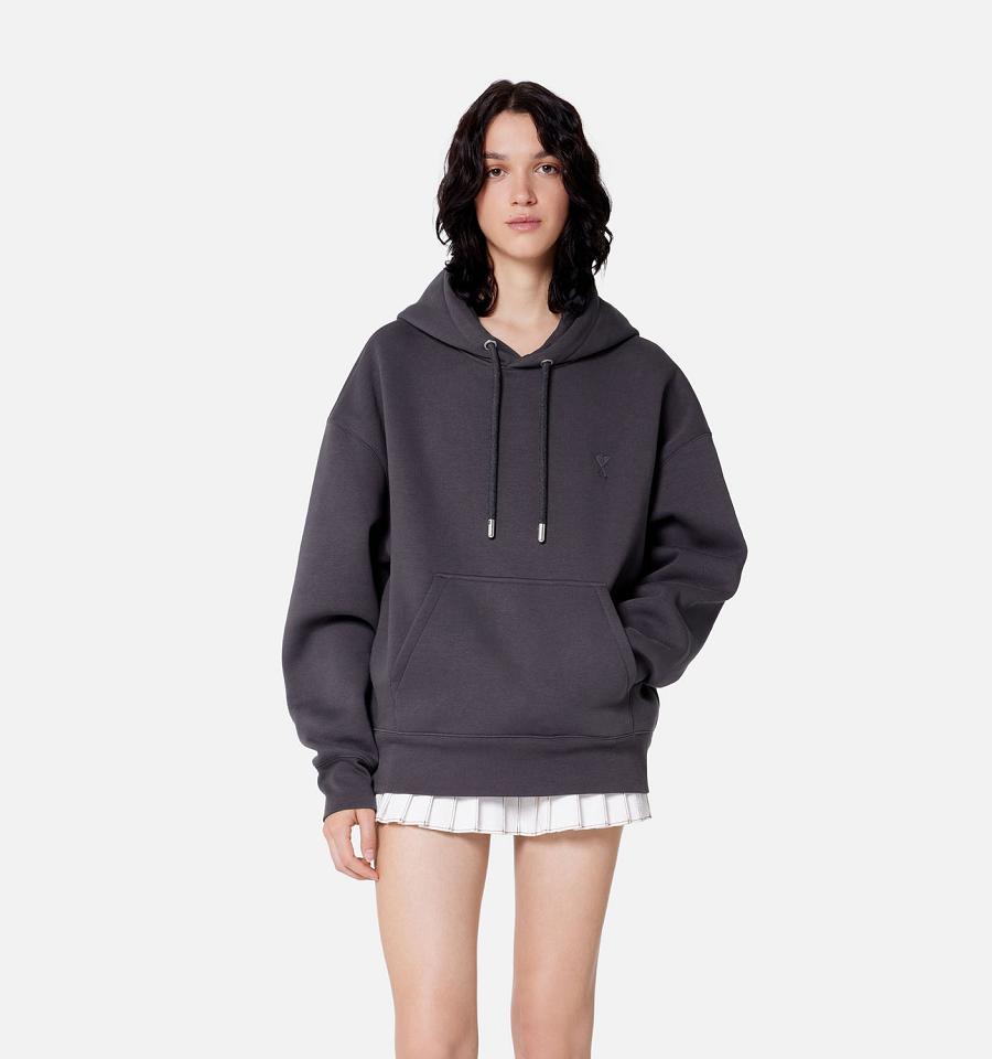 Ami Paris Ami de Coeur Women's Hoodies Grey | ami-NZ343