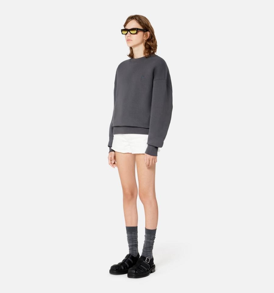 Ami Paris Ami de Coeur Women's Sweatshirts Grey | ami-NZ426