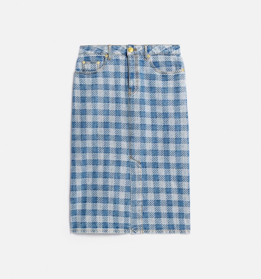 Ami Paris Gingham Pattern Jacquard Pencil Women's Skirts Blue | ami-NZ246