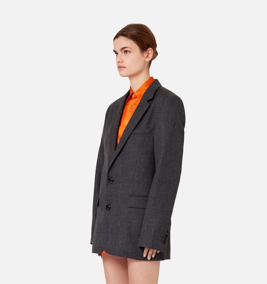 Ami Paris Two Buttons Women's Jackets Grey | ami-NZ606